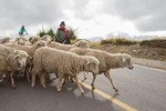 3-day Bike&Hike - Cotopaxi-Quilotoa-Chimborazo: The heart of the Andes 