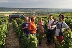 Small Group - Champagne Full Day Tour - Visit of 3 Champagne Producers / Growers