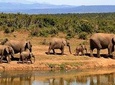 4 days wildlife safaris in uganda