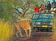 Golden Triangle Tour with Ranthambore (3 Star Hotel)