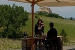 A love and wine story in Parma valley