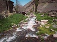 Day Trip to the High Atlas & camel ride