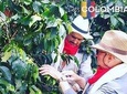 EXPERIENCES COLOMBIA (coffee tour)
