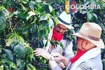 EXPERIENCES COLOMBIA (coffee tour)