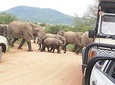 One day Kruger National Park tour Private 