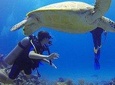 Padi Discover Scuba Diving / NO Experience Needed