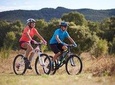 Rent a Mountain Bike 1 until 7 Days in Maspalomas : Visit Gran Canaria South