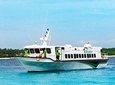 Fastboat to Gili Trawangan or Gili Air