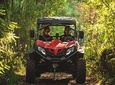 Adventure Tour By Porto Buggy