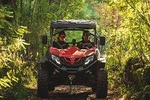 Adventure Tour By Porto Buggy