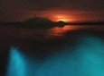 Bioluminiscente Tour At Night