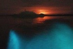 Bioluminiscente Tour At Night
