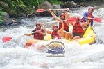 Ayung Rafting (Include Return Hotel Transportation)