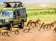 3 Days Tanzania Safari