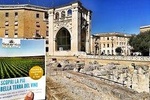 Rich tasting of Salento wines