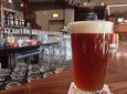 Beijing Private Evening Food Tour with Great Leaping Brewery Taproom Hopping