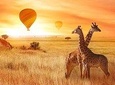 5 Days Tanzania Safari - Tarangire, Serengeti, Ngorongoro, and Lake Manyara