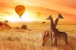 5 Days Tanzania Safari - Tarangire, Serengeti, Ngorongoro, and Lake Manyara