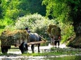 Mai Chau Full Day Small Group Tour: Biking, Trekking, Untouched landscapes
