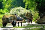 Mai Chau Full Day Small Group Tour: Biking, Trekking, Untouched landscapes