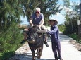 Experience Local Daily Life of Hoi An countryside from Hotels in Hoi An,Da Nang 