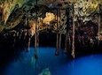 Sacred Adventure at Xenotes! 4 Different Cenotes