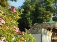 Montmartre semi private walking tour