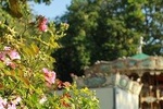 Montmartre semi private walking tour