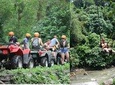 Bali ATV with Swing 