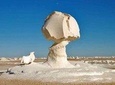 Day tour to White Desert and Bahariya Oasis Tour