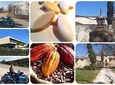 Departure from Aix En Provence: Half-day WINE TOUR on the mountain ST VICTOIRE