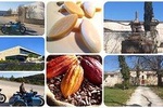 Departure from Aix En Provence: Half-day WINE TOUR on the mountain ST VICTOIRE