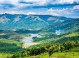 God's Own Country - KERALA (8 Days private trip)