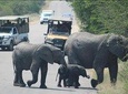 Pillanesburg National Park 2 Days 1 night Magical Private Safari R5900