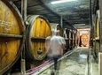 Cellar visit with tasting of 5 Alsace wines and Kougelhopf in Strasbourg