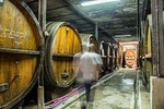 Cellar visit with tasting of 5 Alsace wines and Kougelhopf in Strasbourg