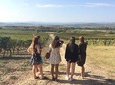 Cité de Carcassonne and Wine Tasting Private Day Tour from Toulouse