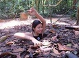 Cu Chi Tunnels By Motorbike