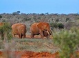 Tsavo East Full Day Tour