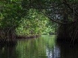 Negombo Lagoon Tour
