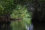 Negombo Lagoon Tour