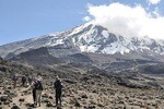 8 Days Lemosho Route - Climb Mount Kilimanjaro