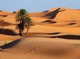 fes to fes 2 days private desert tour