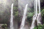 Sekumpul Waterfall Trekking