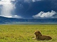 Ngorongoro Crater Tour day Trip