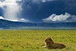Ngorongoro Crater Tour day Trip