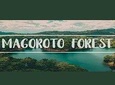 Day Trip to Magoroto Forest Estate - From Tanga City