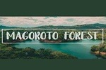 Day Trip to Magoroto Forest Estate - From Tanga City