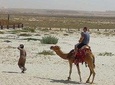 Camel Ride Tour in Salalah along the Arabia Sea Beach - By Beautiful Salalah