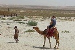 Camel Ride Tour in Salalah along the Arabia Sea Beach - By Beautiful Salalah